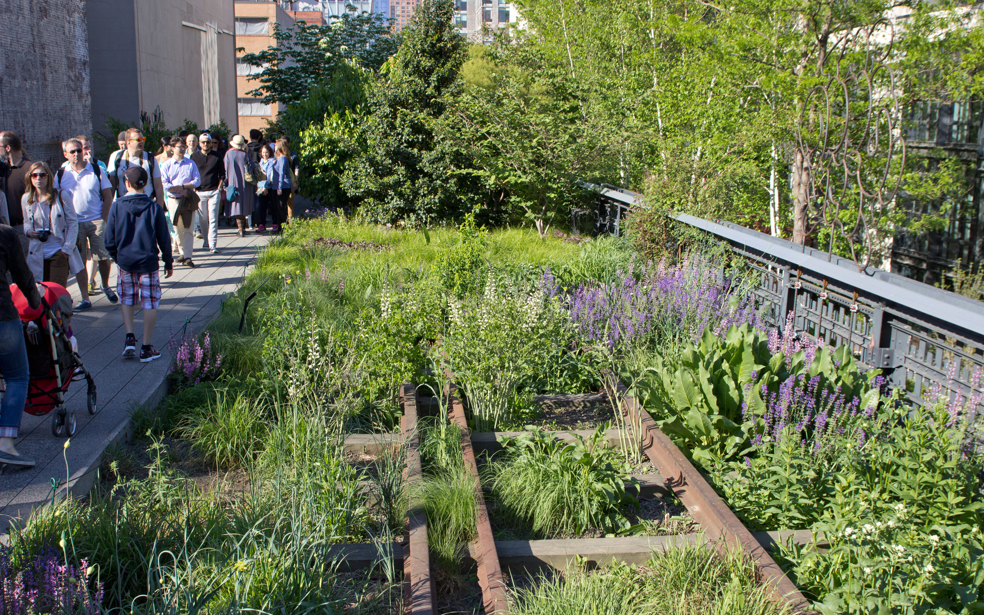 It was the planner’s objective to preserve the natural flora and wilderness Planted railways